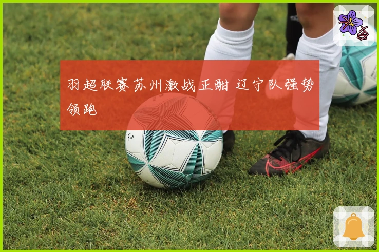 羽超联赛苏州激战正酣 辽宁队强势领跑