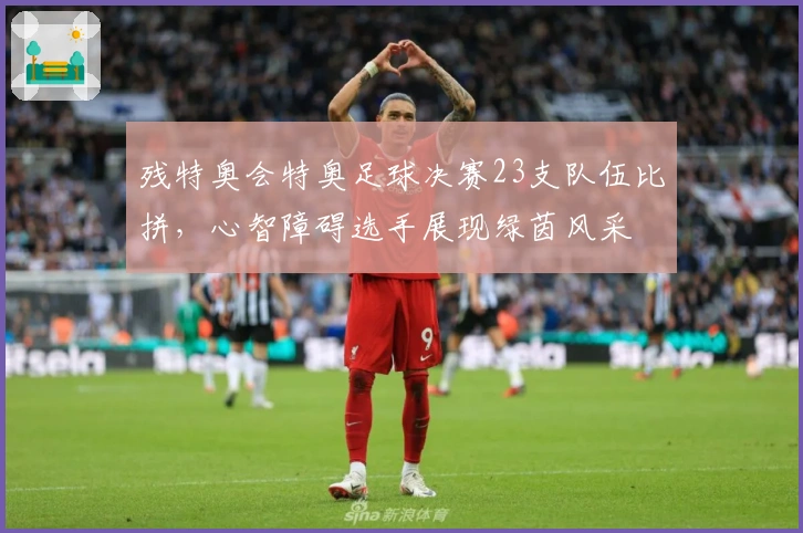 残特奥会特奥足球决赛23支队伍比拼，心智障碍选手展现绿茵风采